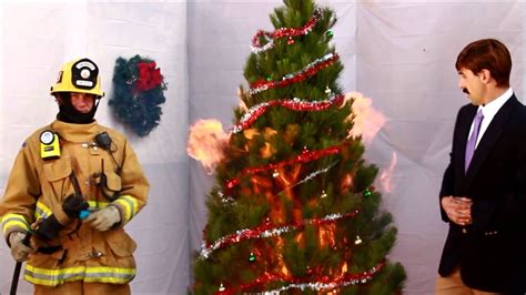 christmas safety videos funny|funny christmas tree safety video.